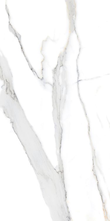 Matrix Statuario Fantasia Matte 12 x 24